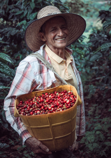 Exploring the Origins: A Journey to Our Coffee Farms in Central America